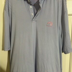 Ralph Lauren RLX Golf Light Blue and Pink Striped Polo - Tucson Country Club